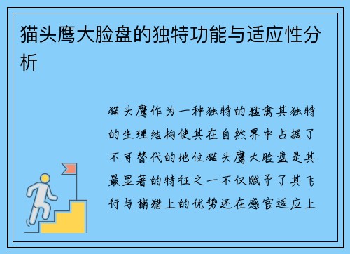 猫头鹰大脸盘的独特功能与适应性分析