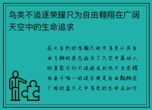 鸟类不追逐荣耀只为自由翱翔在广阔天空中的生命追求